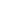 Icône